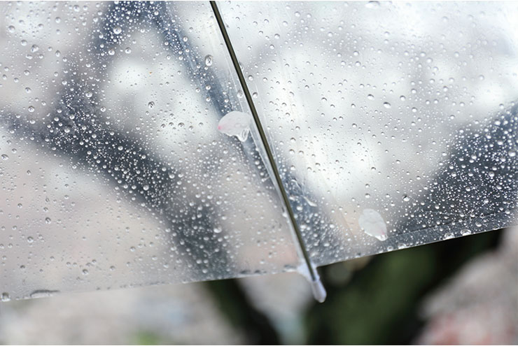 雨の日の外壁塗装工事の問題と対策